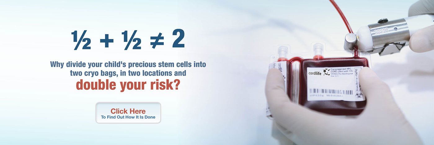 stem cells processing and storage